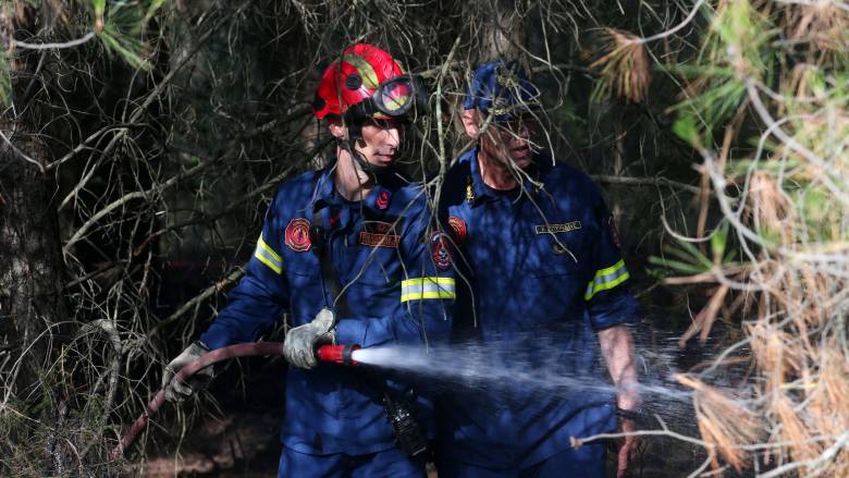 Μία σύλληψη για πυρκαγιά στο Κιλκίς και πρόστιμο για φωτιά σε δασική έκταση στις Σέρρες