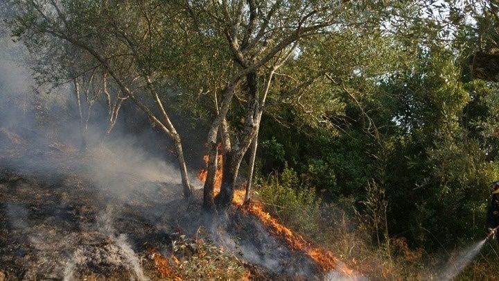 Διακοπή κυκλοφορίας στην οδό Τατοΐου, λόγω πυρκαγιάς στη Βαρυμπόμπη