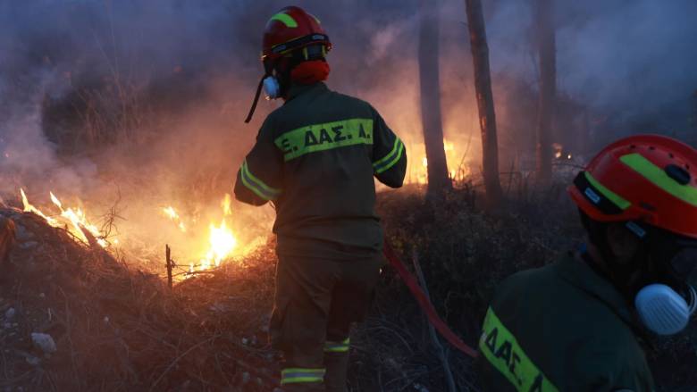Φωτιά σε δασική έκταση στο Δοτσικό Γρεβενών - Μεγάλη επιχείρηση της Πυροσβεστικής