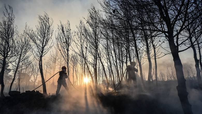 Φωτιά στη Χίο: Μάχη σε διάσπαρτες εστίες, δεν κινδυνεύουν οικισμοί - Στάχτη 13.000 στρέμματα δάσους