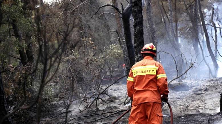 Σε 20 λεπτά οριοθετήθηκε η φωτιά στον Μαραθώνα - Προειδοποίηση Κικίλια για τις επόμενες ημέρες