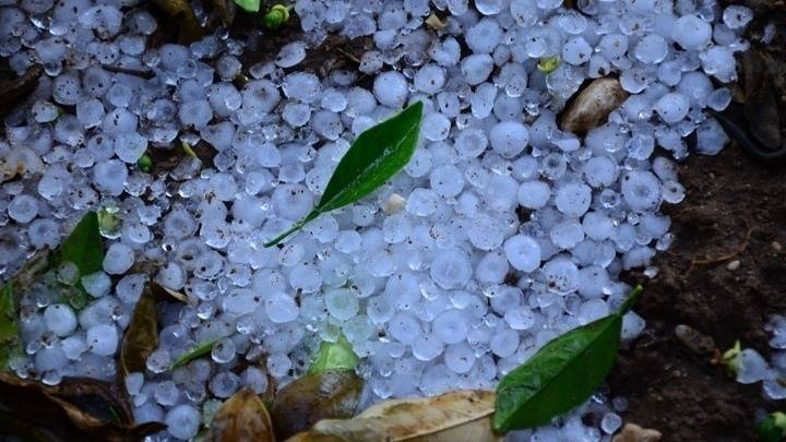 Εγκλωβίστηκαν οδηγοί λόγω της χαλαζόπτωσης στο Ηράκλειο - Καταστροφές στις καλλιέργειες