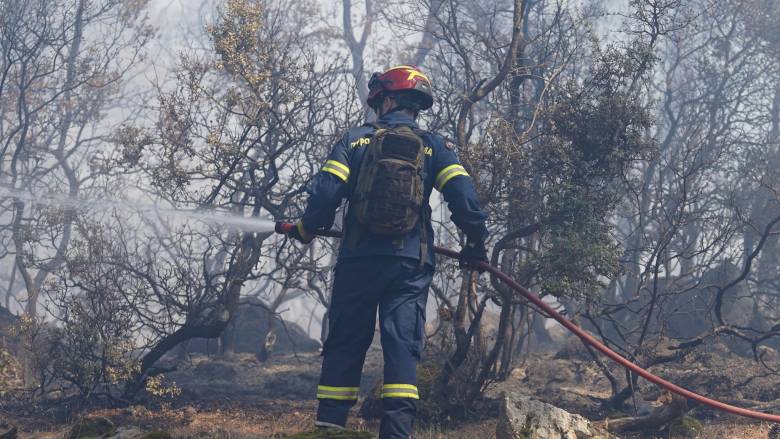 Πυρκαγιά στη Μαγούλα - Μεγάλη επιχείρηση της Πυροσβεστικής
