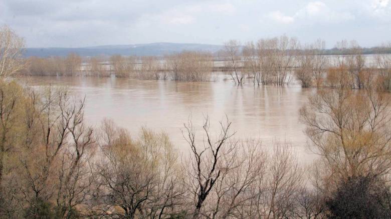 Θλιβερές εικόνες με νεκρά ψάρια στο Δέλτα του Έβρου – Τι έχει συμβεί