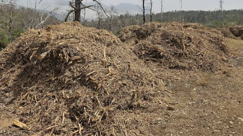 Ακαθάριστα οικόπεδα: Πότε λήγει η προθεσμία - Πώς θα κάνετε τη δήλωση
