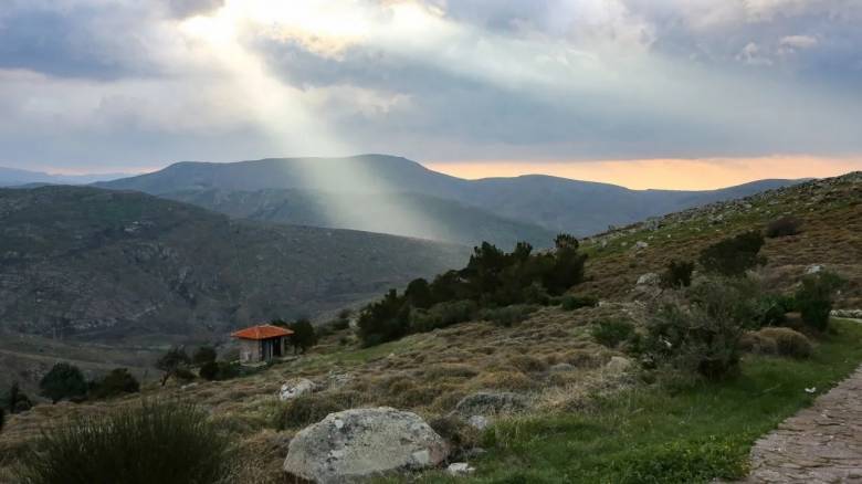 Ακαθάριστα οικόπεδα: Έως πότε δόθηκε η νέα παράταση στους πολίτες