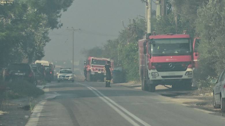 Φωτιά στην Καλαμάτα: Διπλή επιχείρηση της Πυροσβεστικής στη ΒΙΠΕ και το Αριοχώρι