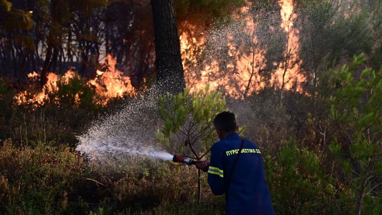 Φωτιά σε δασική έκταση στην Ανάληψη Ηλείας - Καίει κοντά σε σπίτια