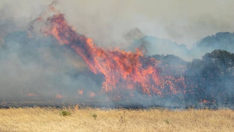 Υπό μερικό έλεγχο η φωτιά στη Ρόδο - Συνεχίζει την κατάσβεση η Πυροσβεστική