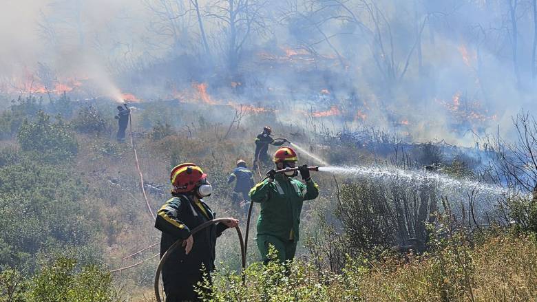 Πυρκαγιά στο Παλαιόκαστρο Λάρισας - Επί ποδός επίγεια και εναέρια μέσα