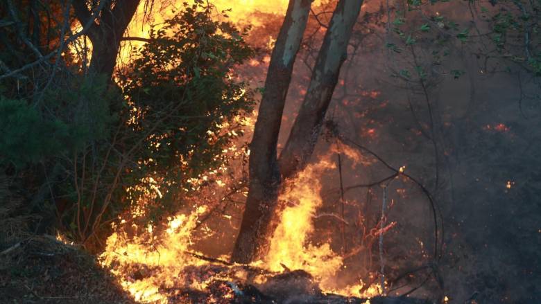 Νέα ενημέρωση για τις πυρκαγιές: Επικίνδυνη η κατάσταση στον Βαρνάβα - Σε ύφεση στα Μέγαρα