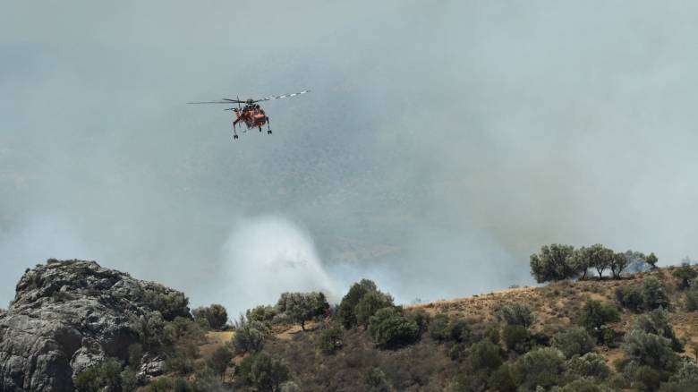Οριοθετήθηκε η φωτιά σε δασική περιοχή στην Κρανέα Πέλλας