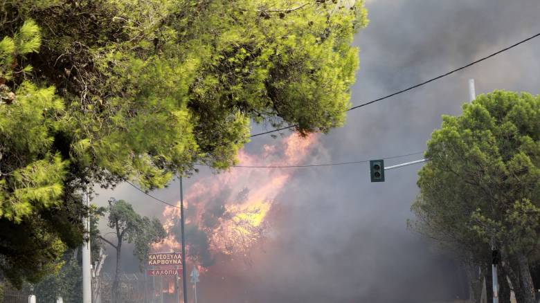 Πάνω από 40 οι αναζωπυρώσεις στο μέτωπο της φωτιάς - Πνέουν άνεμοι οκτώ μποφόρ