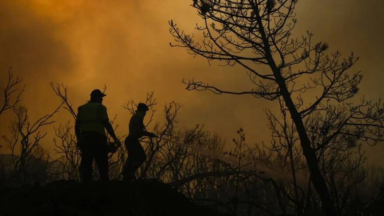 Τουρκία: Μάχη με τις φλόγες στη Σμύρνη - Σε κατοικημένες περιοχές η πυρκαγιά
