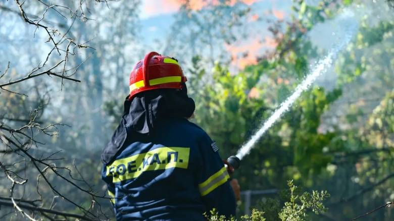 Φωτιά στην Αχαΐα: Στο νοσοκομείο δασοκομάντο λόγω εισπνοής καπνών