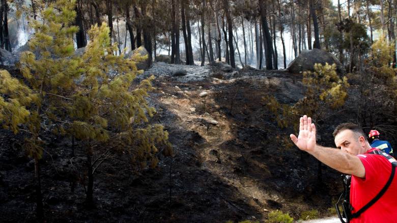 Εύβοια: Υπό έλεγχο η φωτιά στην Ερέτρια - Ζημιές σε αποθήκη