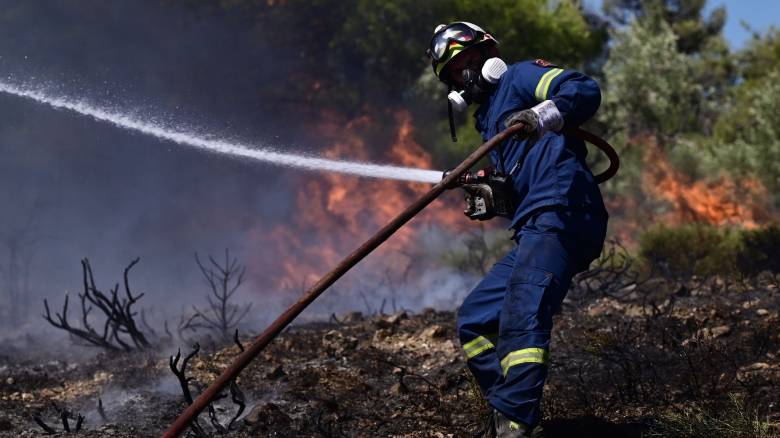 Συνελήφθη 27χρονος για πυρκαγιά από πρόθεση στην Ηλεία