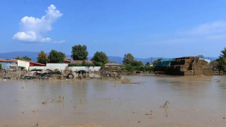 ΔΥΠΑ: Νέο πρόγραμμα απασχόλησης για πάνω από 2.000 άνεργους πληγέντες της κακοκαιρίας Daniel