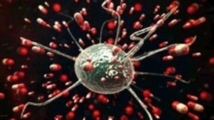 Συναγερμός στη Βρετανία για «σπάνιο» ανθρώπινο κρούσμα της γρίπης των πτηνών