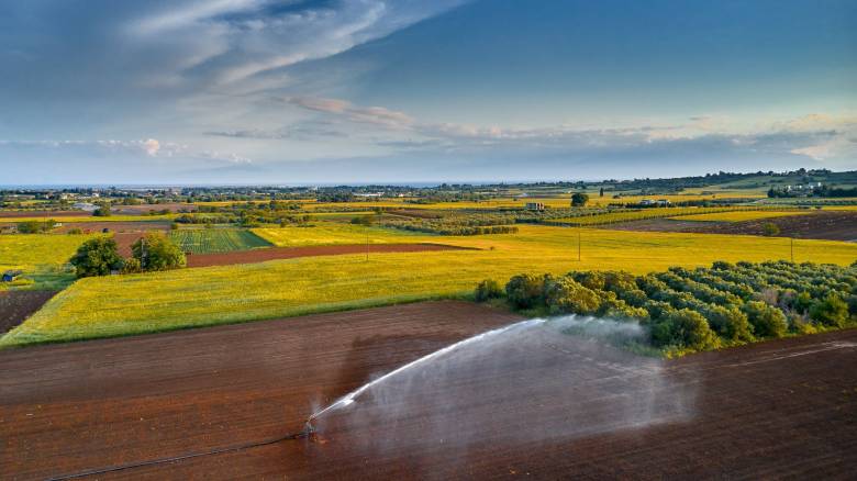 Ενιαία Αίτηση Ενίσχυσης: Διορθώσεις για τα έτη 2024 και 2025 - Ποιους παραγωγούς αφορά