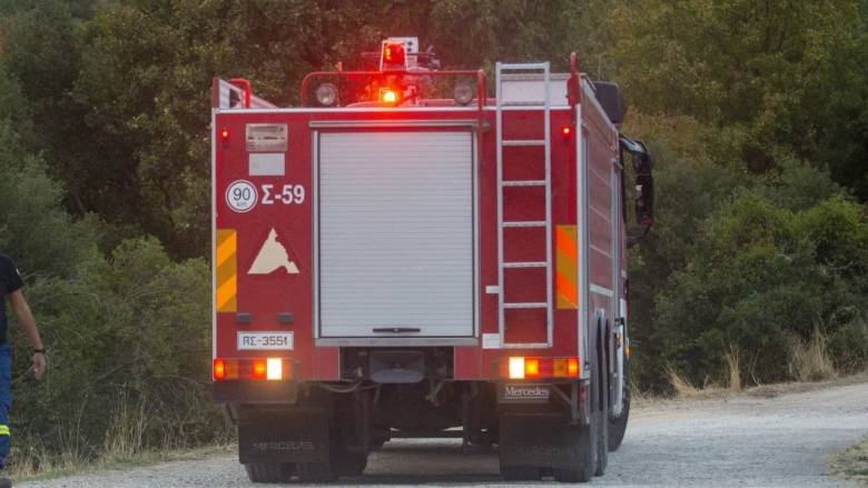 Φωτιά σε δασική έκταση στο Πετρωτό Αχαίας - Επιχειρούν ισχυρές πυροσβεστικές δυνάμεις