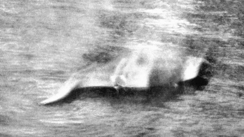 Το τέρας του Λοχ Νες γίνεται 91 ετών: Η ιστορία της πρώτης φωτογραφίας της «Νέσι»