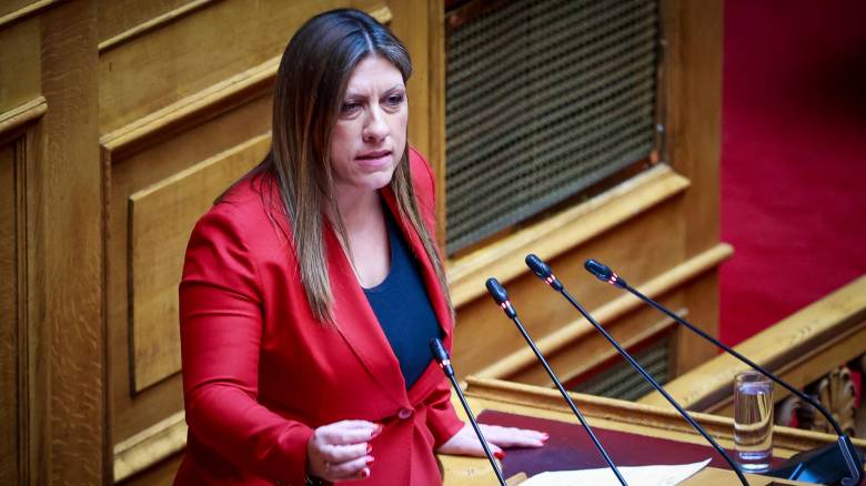 Κωνσταντοπούλου για προσωπικό γιατρό: Τα νομοσχέδια της κυβέρνησης δεν είναι σοβαρές μεταρρυθμίσεις