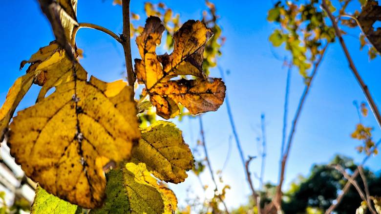 Καιρός: Αίθριος καιρός με τοπικές νεφώσεις - Μέχρι τα 6 μποφόρ οι άνεμοι στο Αιγαίο
