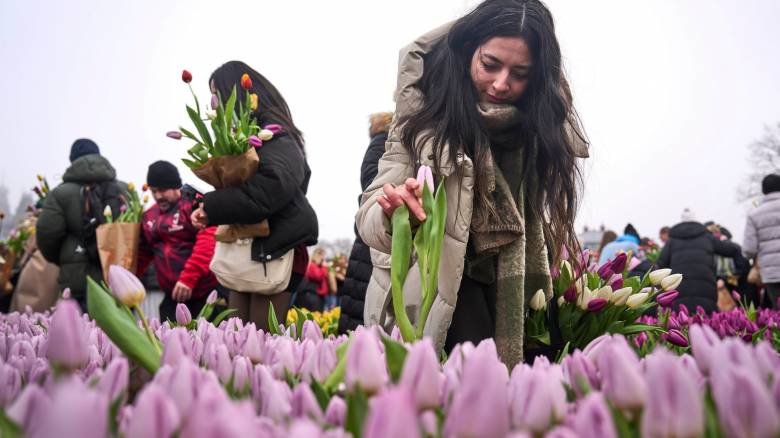 Εντυπωσιακές εικόνες από την «πρεμιέρα» της σεζόν της τουλίπας στην Ολλανδία