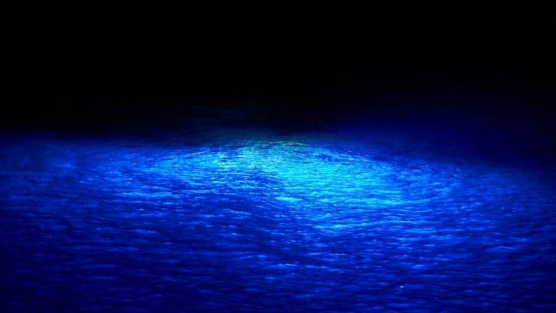 Έκθεση ΜΚΟ: Τεράστια έλλειψη κεφαλαίων που είναι απαραίτητα για την προστασία των ωκεανών