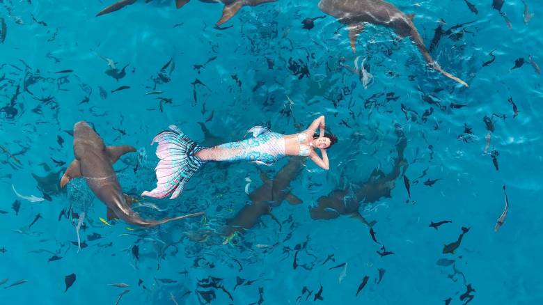 Η Θεσσαλονικιά «γοργόνα» που κολύμπησε με καρχαρίες και σαλάχια στις Μαλδίβες