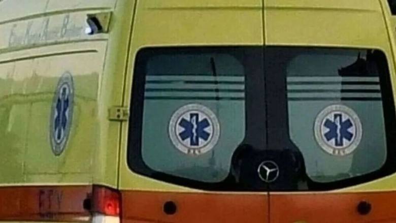 Άνδρας που έκοβε ξύλα καταπλακώθηκε από κορμό δένδρου στο Ταΰγετο