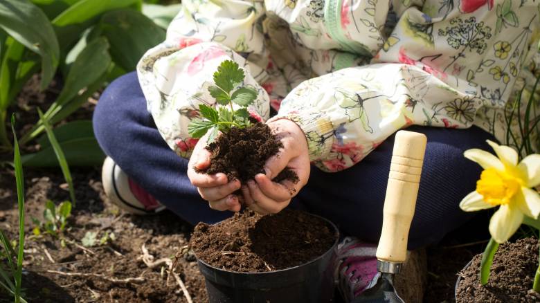 «Ζωή» απέκτησε η άγονη αυλή δημοτικού σχολείου στην Πάτρα - Νέες δενδροφυτεύσεις από μαθητές