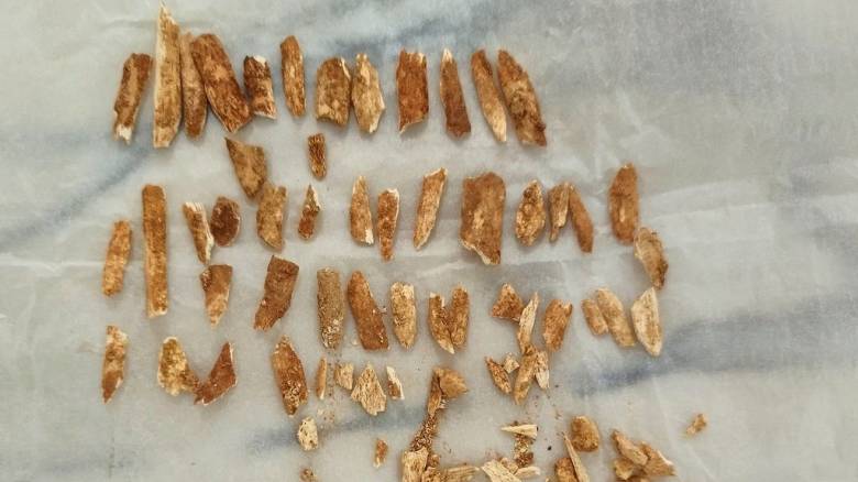 Επιστήμονες χρονολόγησαν σκελετό παιδιού που είναι ταυτόχρονα άνθρωπος και Νεάντερταλ