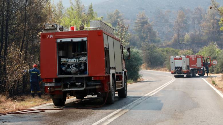 Φωτιά σε δασική έκταση στη Σάμο - Συναγερμός στην Πυροσβεστική