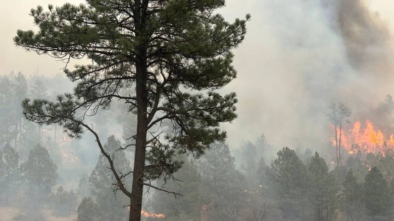 Τους 24 έφτασαν οι νεκροί από τις φονικές πυρκαγιές στη Νότια Κορέα