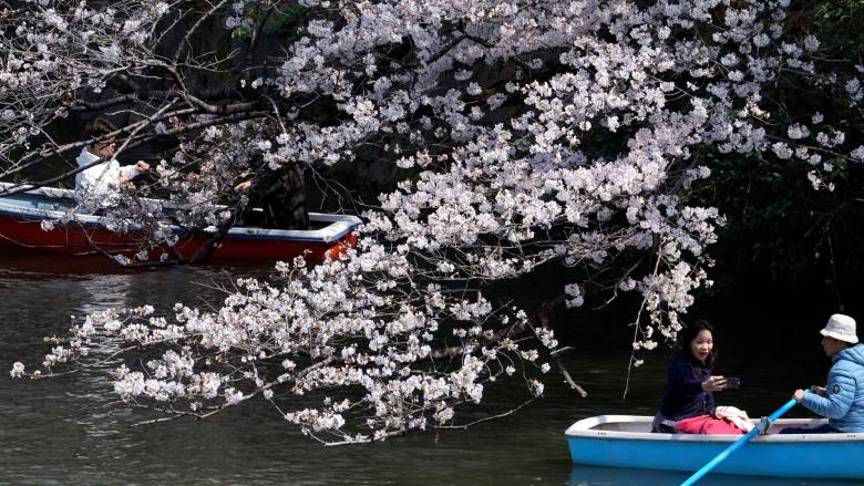 Κιότο: Με τον φακό του Μάρτιν Παρ οι τουρίστες που συρρέουν για να θαυμάσουν τις ανθισμένες κερασιές
