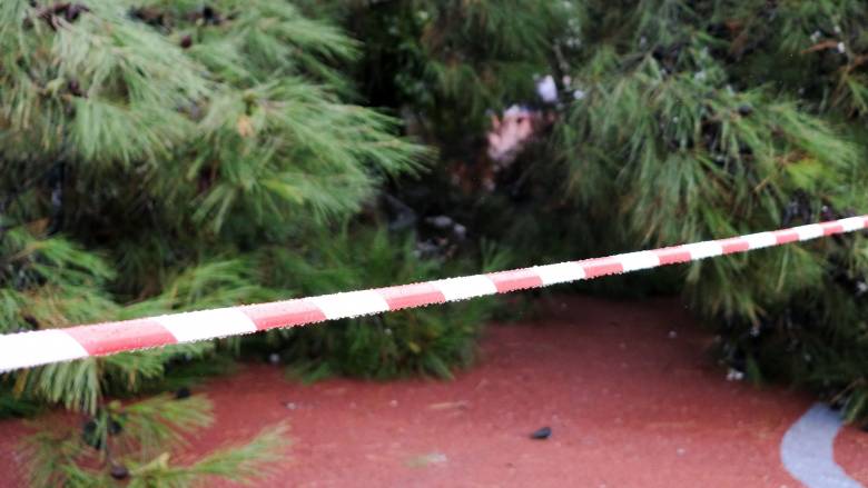 Ανεμοστρόβιλος χτύπησε τη Ρόδο: Ξερίζωσε δέντρα, ξήλωσε κλιματιστικά - Βυθίστηκε σκάφος στο λιμάνι