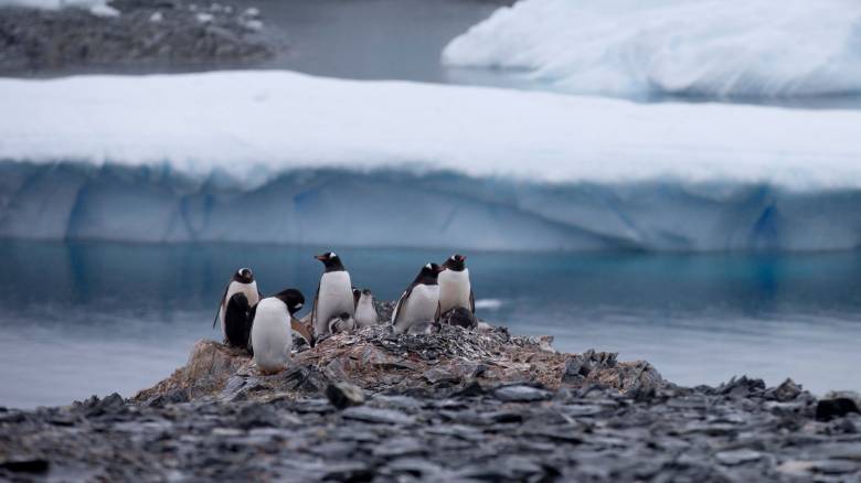 Τα παράδοξα των ανακοινώσεων Τραμπ - Επέβαλε δασμούς μέχρι και σε ακατοίκητα νησιά