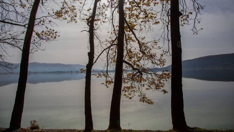 Καστοριά: Περιπατητής εντόπισε σορό ηλικιωμένου άνδρα να επιπλέει στη λίμνη