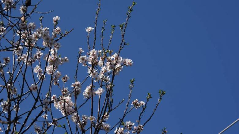 Μαρουσάκης για καιρό Μεγάλης Εβδομάδας: Ανοιξιάτικος και με τον υδράργυρο στους 27 βαθμούς το Πάσχα