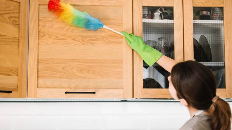 «Τοξικό κοκτέιλ» από φυτοφάρμακα στη σκόνη σπιτιών στην Ευρώπη εντόπισε έρευνα