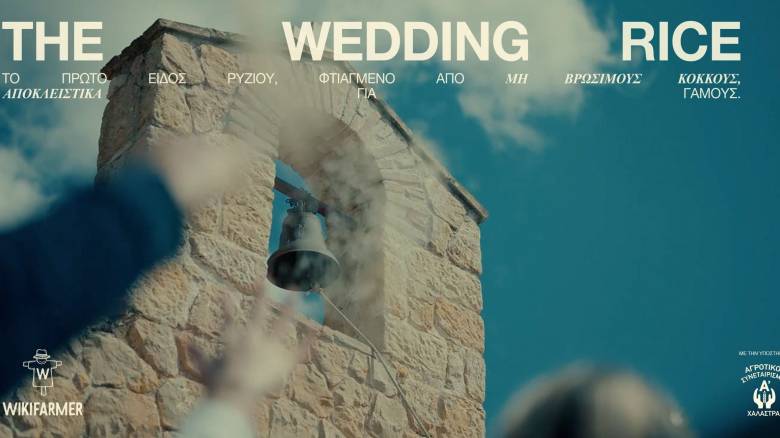 The Wedding Rice: Ας μην πετάξουμε στο πάτωμα ρύζι που θα κατέληγε στο πιάτο