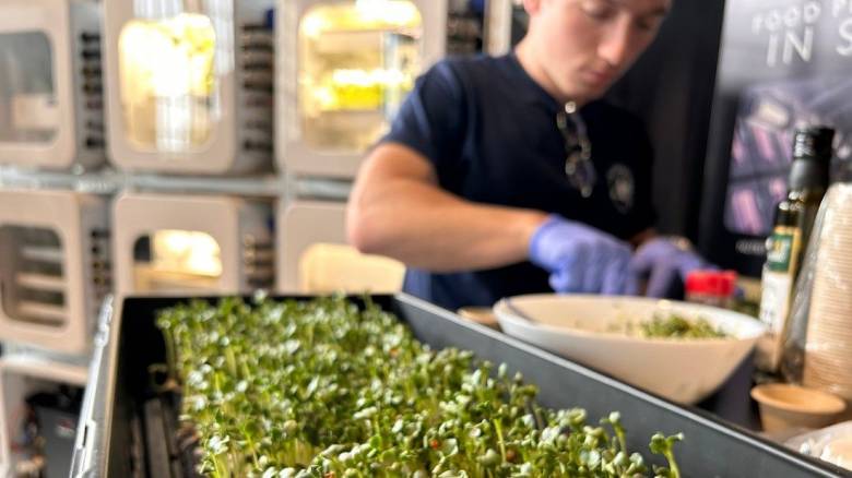 ESA: Ξεκινούν πειράματα για την καλλιέργεια τροφίμων στο διάστημα