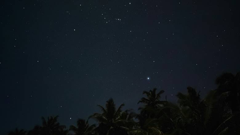 Η επιστροφή των Λυρίδων: Πότε και πώς θα δείτε την παλαιότερη αστρική βροχή της Γης