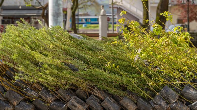 Φυσικό μεταλλικό νερό Βίκος και we4all καλλιεργούν το μέλλον σε έναν κόσμο που αλλάζει