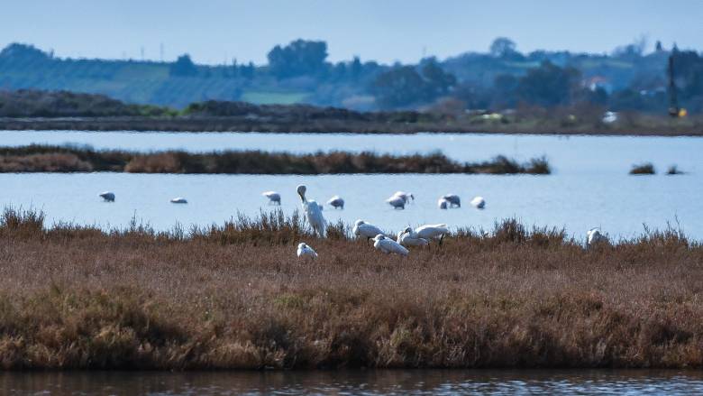 Infographic: Οι 10 περιοχές της Ελλάδας που θα βρεθούν κάτω από το νερό μέχρι το 2050