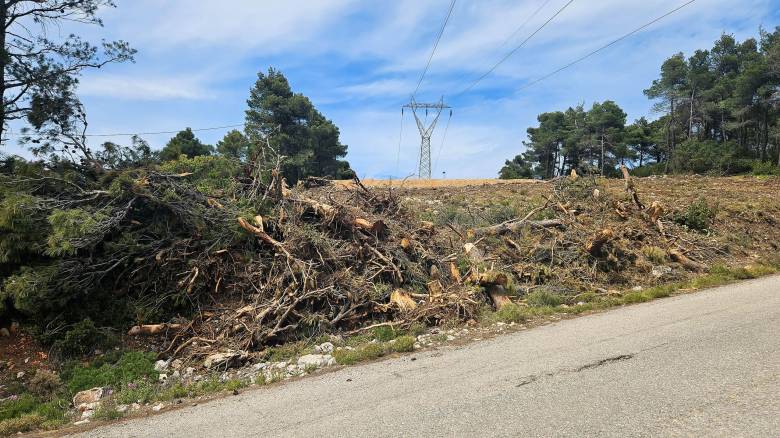 Ακαθάριστα οικόπεδα: Όλη η διαδικασία - Πότε λήγει η προθεσμία