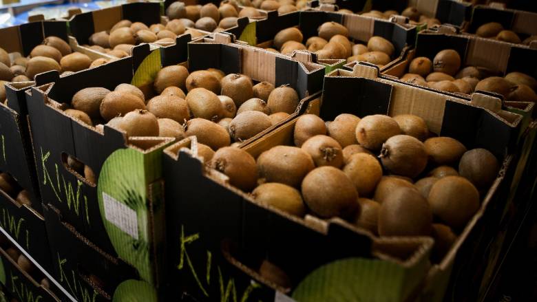 Το success story για το ελληνικό ακτινίδιο – Το ρεκόρ στις εξαγωγές και οι νέες αγορές