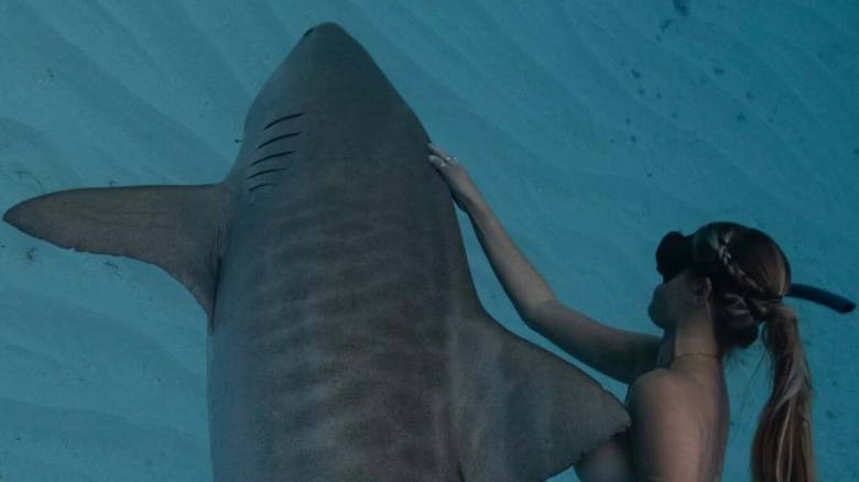 Οι influencers φταίνε για την αύξηση των επιθέσεων από καρχαρίες, υποστηρίζει νέα μελέτη